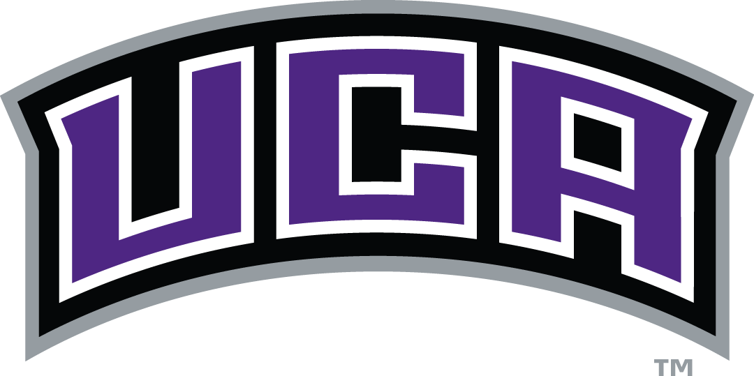 Central Arkansas Bears 2009-Pres Wordmark Logo v5 diy iron on heat transfer